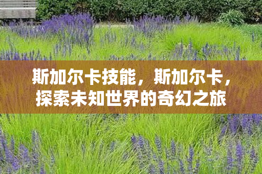 斯加尔卡技能,斯加尔卡,探索未知世界的奇幻之旅 斯加尔卡技能,斯加尔卡,探索未知世界的奇幻之旅