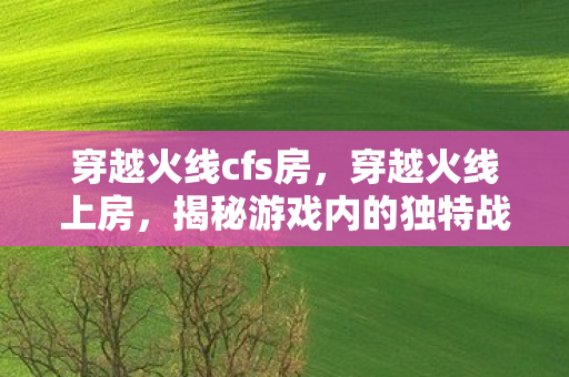 穿越火线cfs房,穿越火线上房,揭秘游戏内的独特战术与技巧 穿越火线cfs房,穿越火线上房,揭秘游戏内的独特战术与技巧