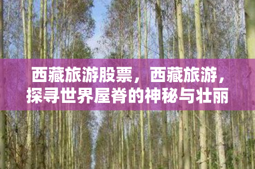 西藏旅游股票，西藏旅游，探寻世界屋脊的神秘与壮丽