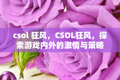 csol 狂风,CSOL狂风,探索游戏内外的激情与策略 csol 狂风,CSOL狂风,探索游戏内外的激情与策略