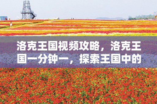 洛克王国视频攻略，洛克王国一分钟一，探索王国中的奇妙冒险