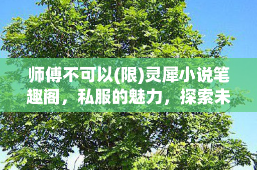 师傅不可以(限)灵犀小说笔趣阁，私服的魅力，探索未知的游戏世界