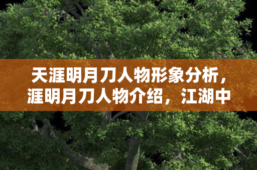 天涯明月刀人物形象分析,涯明月刀人物介绍,江湖中的传奇英雄 天涯明月刀人物形象分析,涯明月刀人物介绍,江湖中的传奇英雄
