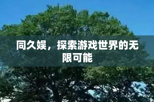 同久娱,探索游戏世界的无限可能 同久娱,探索游戏世界的无限可能