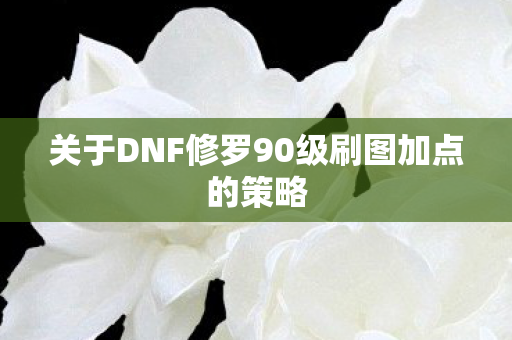 关于DNF修罗90级刷图加点的策略 关于DNF修罗90级刷图加点的策略