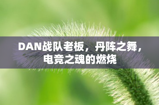 DAN战队老板，丹阵之舞，电竞之魂的燃烧