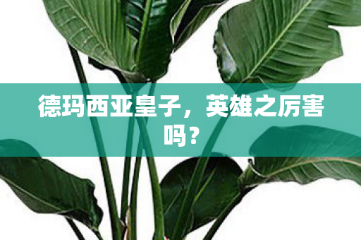 德玛西亚皇子,英雄之厉害吗? 德玛西亚皇子,英雄之厉害吗?