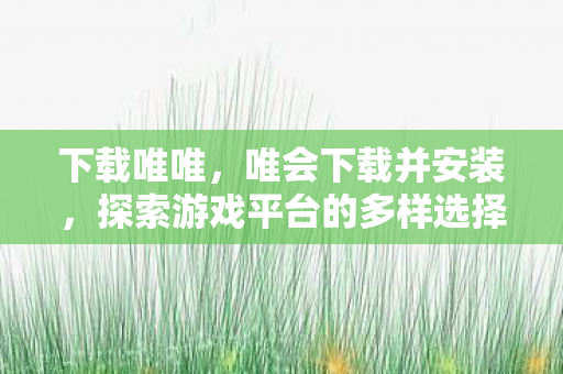 下载唯唯，唯会下载并安装，探索游戏平台的多样选择