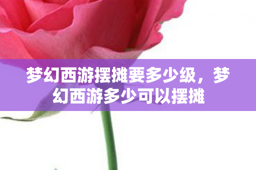 梦幻西游摆摊要多少级,梦幻西游多少可以摆摊 梦幻西游摆摊要多少级,梦幻西游多少可以摆摊