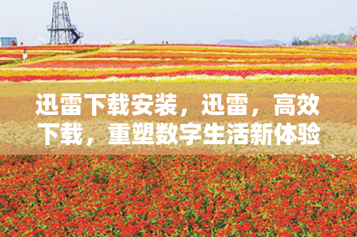 迅雷下载安装,迅雷,高效下载,重塑数字生活新体验 迅雷下载安装,迅雷,高效下载,重塑数字生活新体验