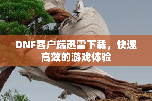 DNF客户端迅雷下载,快速高效的游戏体验 DNF客户端迅雷下载,快速高效的游戏体验