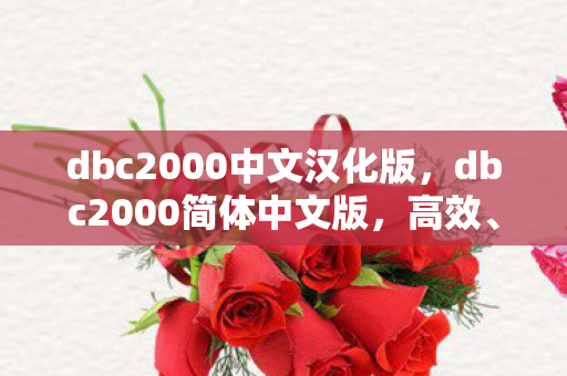dbc2000中文汉化版,dbc2000简体中文版,高效、安全的企业级数据库解决方案 dbc2000中文汉化版,dbc2000简体中文版,高效、安全的企业级数据库解决方案