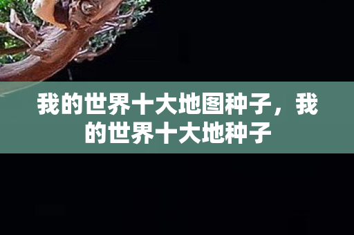 我的世界十大地图种子,我的世界十大地种子 我的世界十大地图种子,我的世界十大地种子