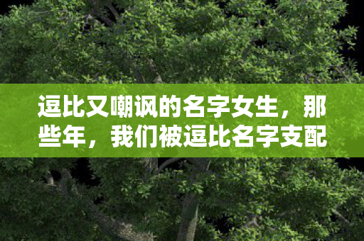 逗比又嘲讽的名字女生,那些年,我们被逗比名字支配的恐惧 逗比又嘲讽的名字女生,那些年,我们被逗比名字支配的恐惧