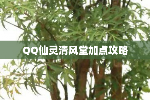 QQ仙灵清风堂加点攻略 QQ仙灵清风堂加点攻略