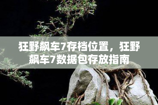 狂野飙车7存档位置,狂野飙车7数据包存放指南 狂野飙车7存档位置,狂野飙车7数据包存放指南