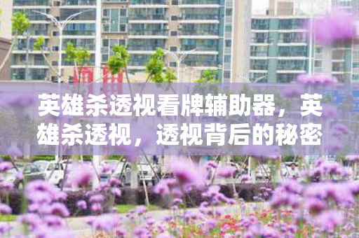 英雄杀透视看牌辅助器，英雄杀透视，透视背后的秘密与游戏公平性探讨