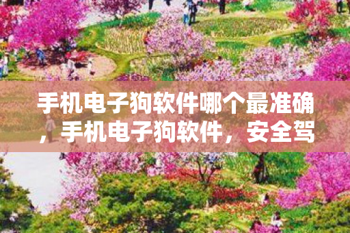 手机电子狗软件哪个最准确,手机电子狗软件,安全驾驶的得力助手 手机电子狗软件哪个最准确,手机电子狗软件,安全驾驶的得力助手