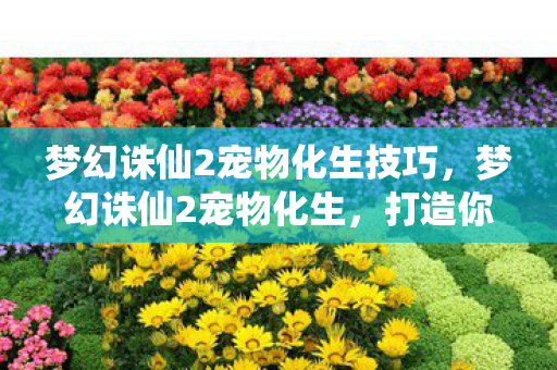 梦幻诛仙2宠物化生技巧，梦幻诛仙2宠物化生，打造你的专属战斗伙伴