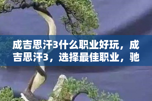 成吉思汗3什么职业好玩,成吉思汗3,选择最佳职业,驰骋草原的奥秘 成吉思汗3什么职业好玩,成吉思汗3,选择最佳职业,驰骋草原的奥秘