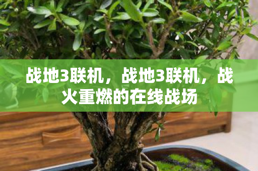 战地3联机,战地3联机,战火重燃的在线战场 战地3联机,战地3联机,战火重燃的在线战场