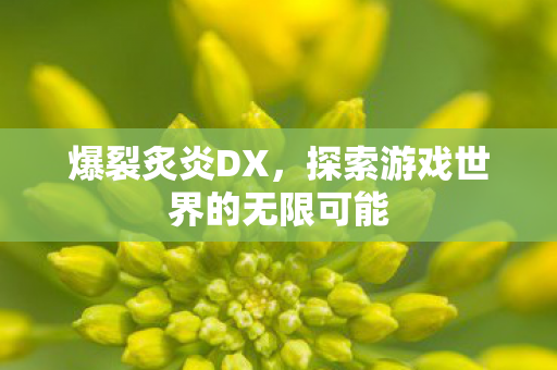 爆裂炙炎DX，探索游戏世界的无限可能