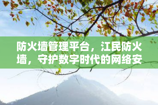 防火墙管理平台,江民防火墙,守护数字时代的网络安全 防火墙管理平台,江民防火墙,守护数字时代的网络安全