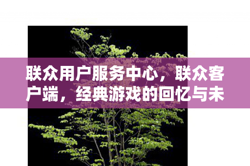 联众用户服务中心,联众客户端,经典游戏的回忆与未来 联众用户服务中心,联众客户端,经典游戏的回忆与未来