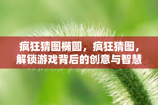 疯狂猜图椭圆,疯狂猜图,解锁游戏背后的创意与智慧 疯狂猜图椭圆,疯狂猜图,解锁游戏背后的创意与智慧