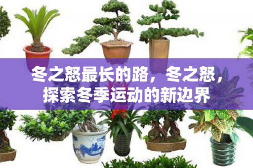 冬之怒最长的路,冬之怒,探索冬季运动的新边界 冬之怒最长的路,冬之怒,探索冬季运动的新边界