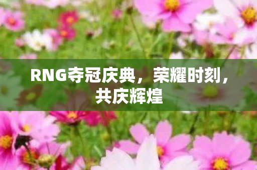 RNG夺冠庆典,荣耀时刻,共庆辉煌 RNG夺冠庆典,荣耀时刻,共庆辉煌