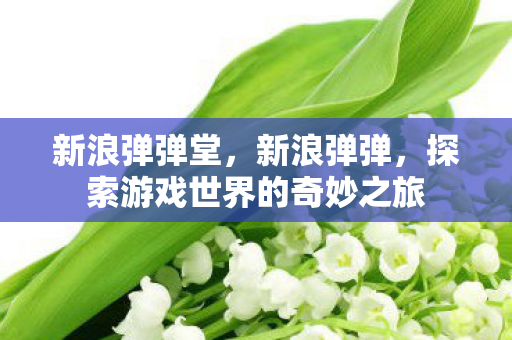 新浪弹弹堂,新浪弹弹,探索游戏世界的奇妙之旅 新浪弹弹堂,新浪弹弹,探索游戏世界的奇妙之旅