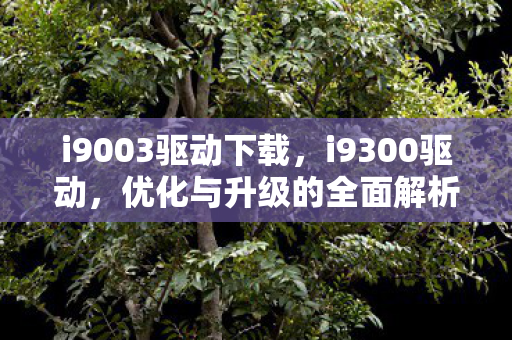 i9003驱动下载，i9300驱动，优化与升级的全面解析