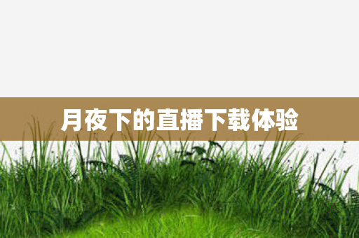 月夜下的直播下载体验 月夜下的直播下载体验