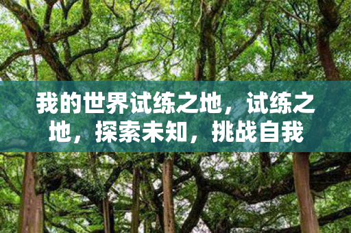 我的世界试练之地,试练之地,探索未知,挑战自我 我的世界试练之地,试练之地,探索未知,挑战自我