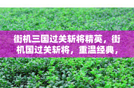 街机三国过关斩将精英,街机国过关斩将,重温经典,感受街机游戏的魅力 街机三国过关斩将精英,街机国过关斩将,重温经典,感受街机游戏的魅力