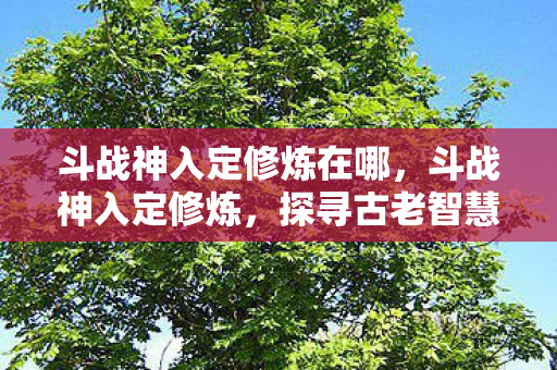 斗战神入定修炼在哪,斗战神入定修炼,探寻古老智慧的修行之路 斗战神入定修炼在哪,斗战神入定修炼,探寻古老智慧的修行之路