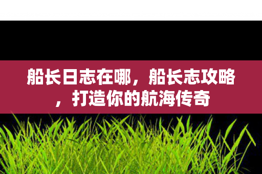 船长日志在哪,船长志攻略,打造你的航海传奇 船长日志在哪,船长志攻略,打造你的航海传奇
