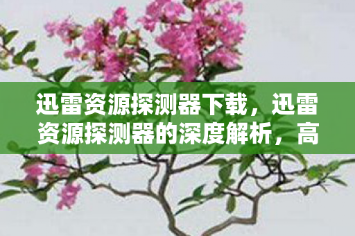 迅雷资源探测器下载,迅雷资源探测器的深度解析,高效资源搜索与管理的秘密武器 迅雷资源探测器下载,迅雷资源探测器的深度解析,高效资源搜索与管理的秘密武器