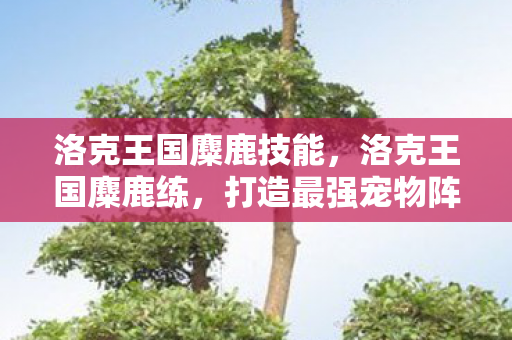洛克王国麋鹿技能,洛克王国麋鹿练,打造最强宠物阵容的攻略 洛克王国麋鹿技能,洛克王国麋鹿练,打造最强宠物阵容的攻略