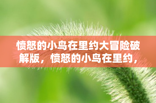 愤怒的小鸟在里约大冒险破解版,愤怒的小鸟在里约,一场梦幻的冒险之旅 愤怒的小鸟在里约大冒险破解版,愤怒的小鸟在里约,一场梦幻的冒险之旅