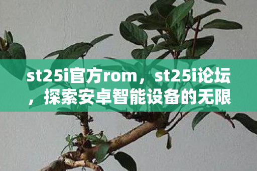 st25i官方rom,st25i论坛,探索安卓智能设备的无限可能 st25i官方rom,st25i论坛,探索安卓智能设备的无限可能