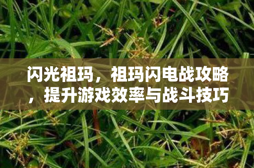 闪光祖玛,祖玛闪电战攻略,提升游戏效率与战斗技巧的秘籍 闪光祖玛,祖玛闪电战攻略,提升游戏效率与战斗技巧的秘籍