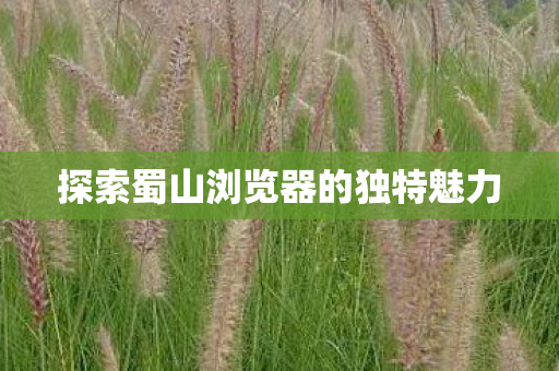 探索蜀山浏览器的独特魅力 探索蜀山浏览器的独特魅力