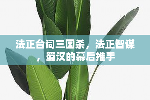 法正台词三国杀,法正智谋,蜀汉的幕后推手 法正台词三国杀,法正智谋,蜀汉的幕后推手