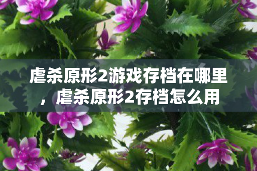 虐杀原形2游戏存档在哪里，虐杀原形2存档怎么用