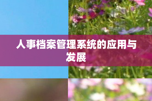人事档案管理系统的应用与发展 人事档案管理系统的应用与发展