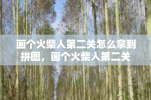 画个火柴人第二关怎么拿到拼图，画个火柴人第二关
