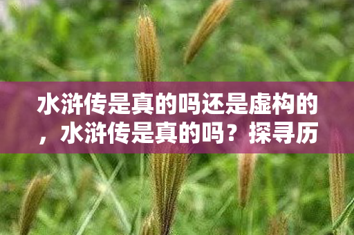 水浒传是真的吗还是虚构的,水浒传是真的吗?探寻历史与传说的交织 水浒传是真的吗还是虚构的,水浒传是真的吗?探寻历史与传说的交织