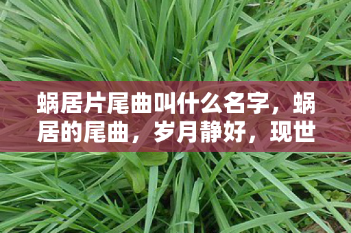 蜗居片尾曲叫什么名字,蜗居的尾曲,岁月静好,现世安稳 蜗居片尾曲叫什么名字,蜗居的尾曲,岁月静好,现世安稳